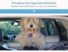 Tablet Screenshot of columbiaspringslabradoodles.com